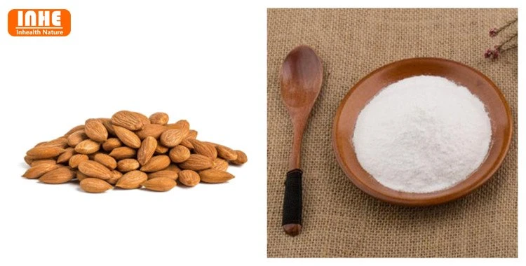 Apricot Seeds and Amygdalin Powder