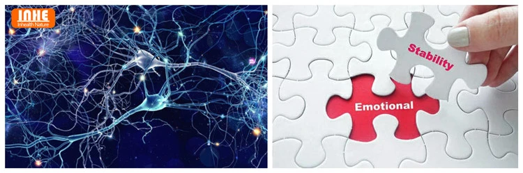 Neuroprotection and Emotional Stability