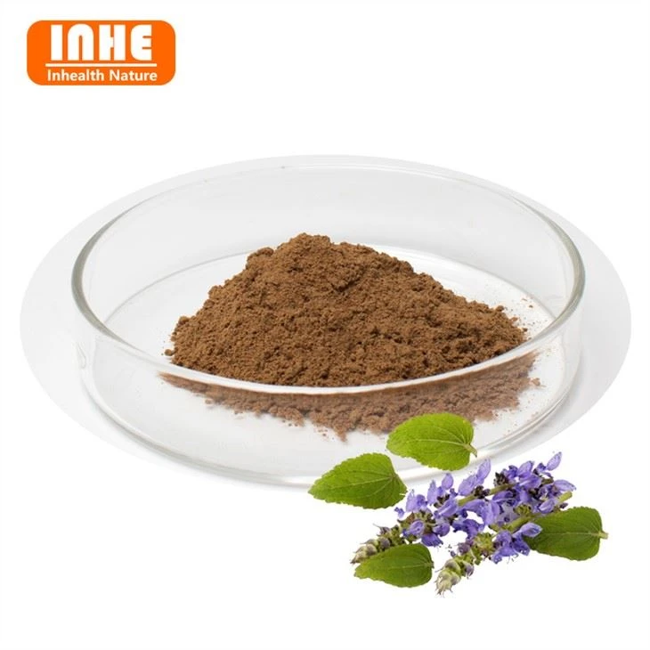 Coleus Forskohlii izvleček v prahu