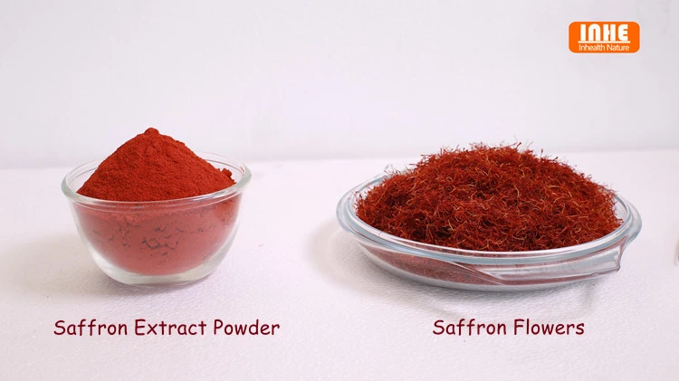 Saffron Flowers and Saffron Extract Powder