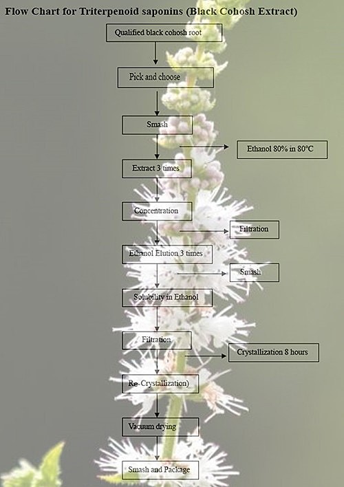 Flow Chart of Black Cohosh Extract