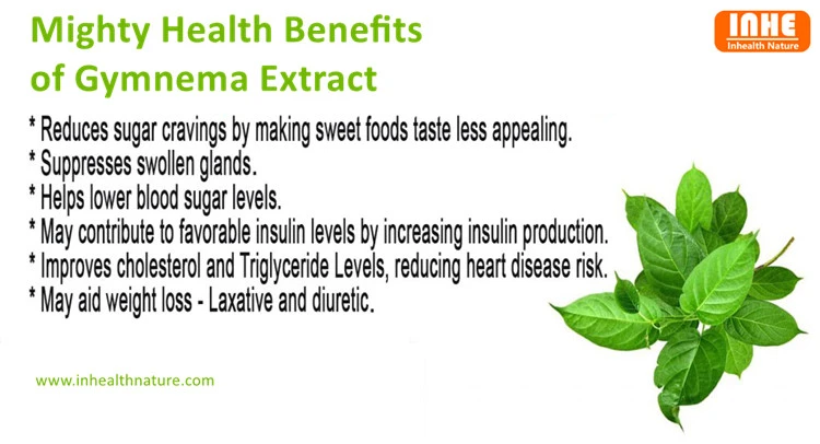 Health Benefits of Gymnema Extract Powder
