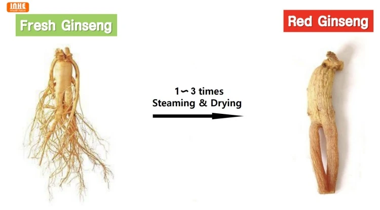Raw Material Red Ginseng