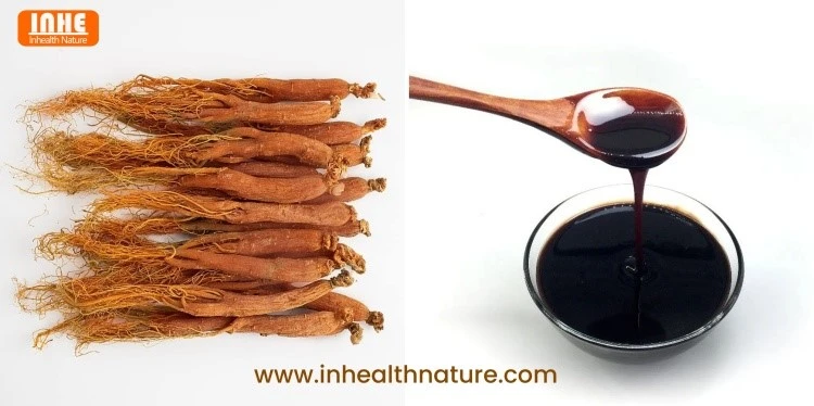 Red Ginseng Root and Red Ginseng Liquid