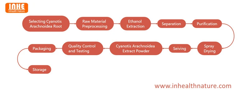 Cyanotis Arachnoidea Extract Powder Flow Chart