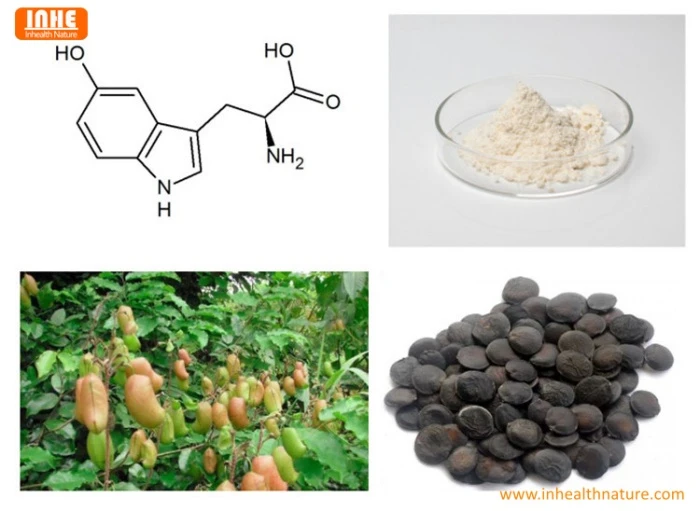 Griffonia Seed Extract