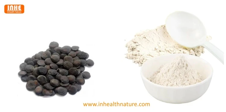 Griffonia Simplicifolia Seeds and Griffonia Seed Powder