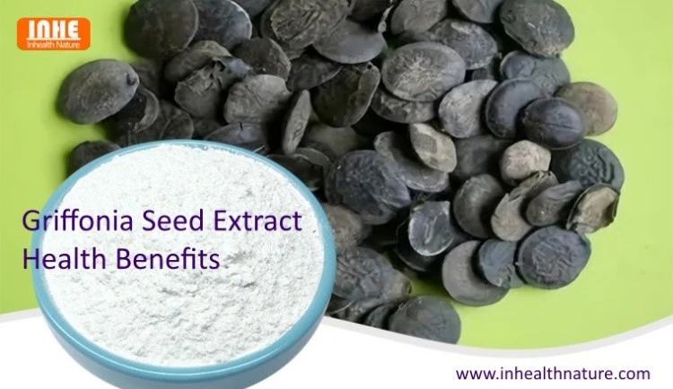 Griffonia Seed Extract Health Benefits